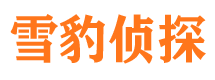 进贤找人公司